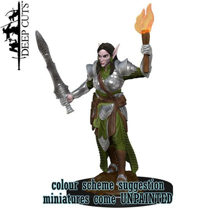 Pathfinder dcum elf female fighter