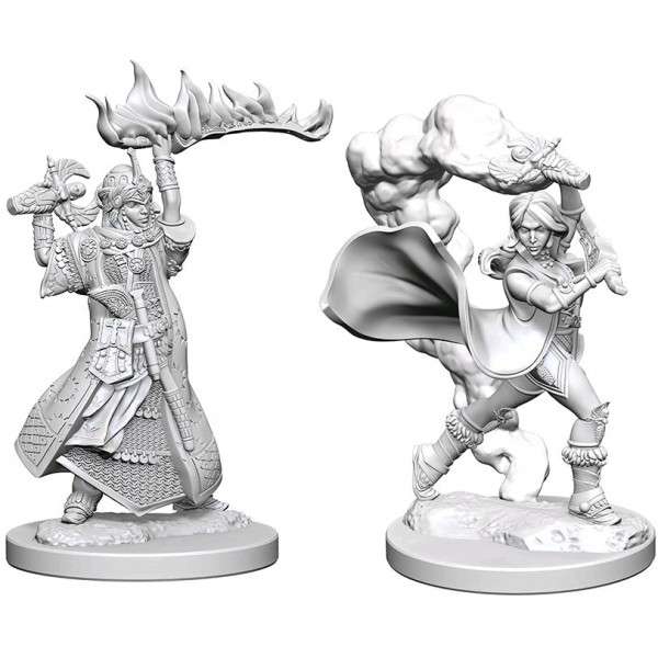 Pathfinder Figurer