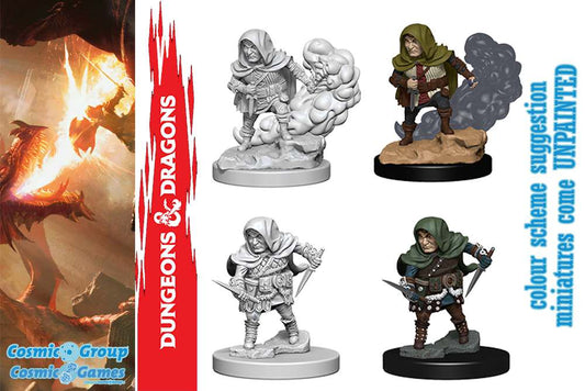 D&d nolzur's marvelous miniatures - halfling male rogue