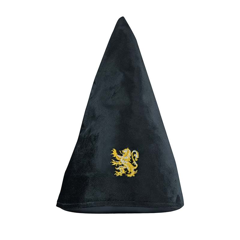 Harry Potter griffindor student hat