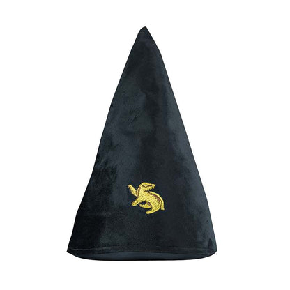 Harry Potter hufflepuff student hat