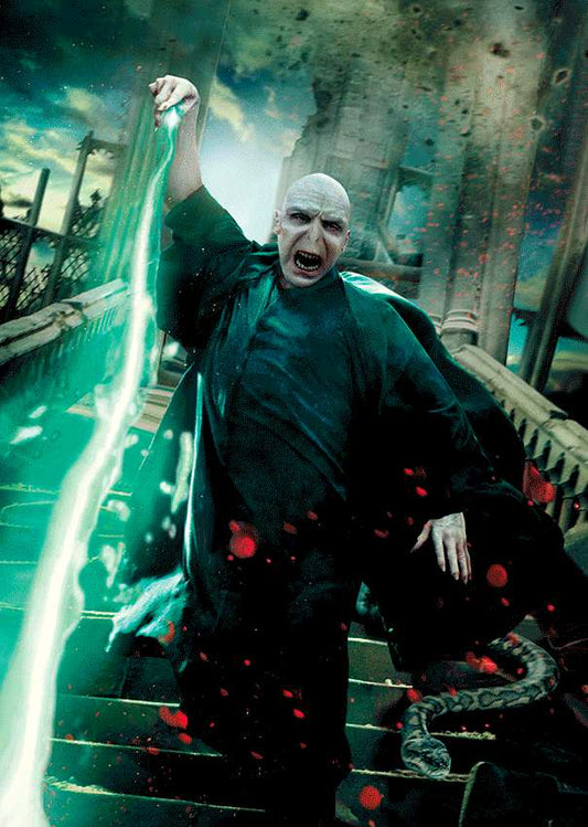 Harry Potter voldemort poster 3d effect noteboook