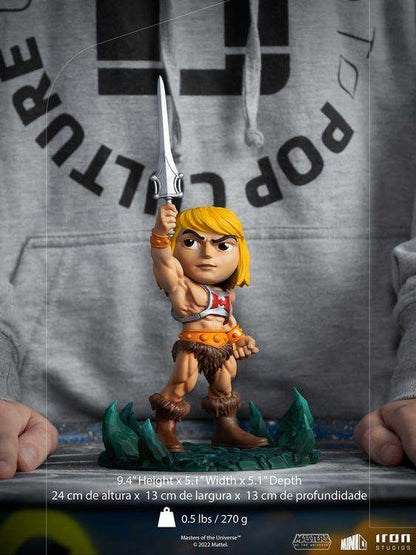 Masters of the Universe he-man minico