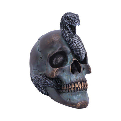 Serpentine fate gothic snake skull