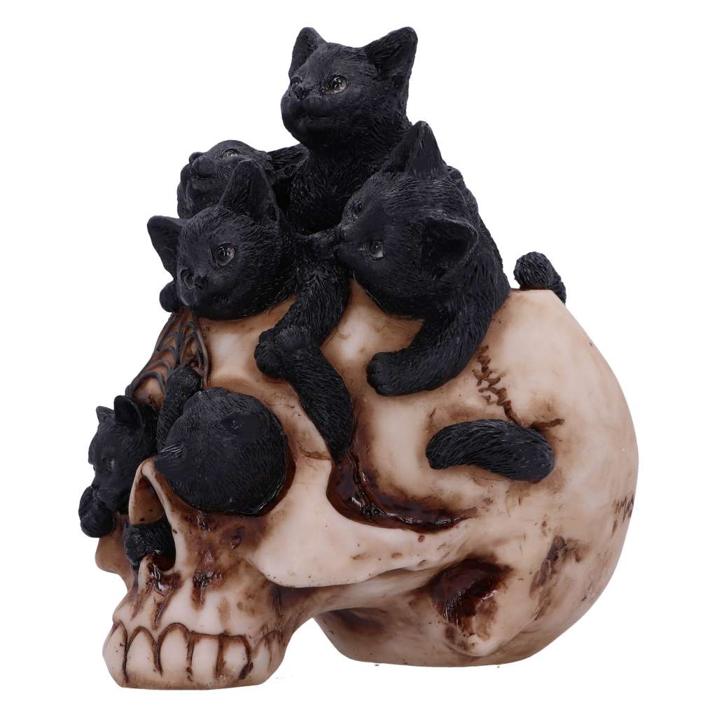 Skull cranial litter