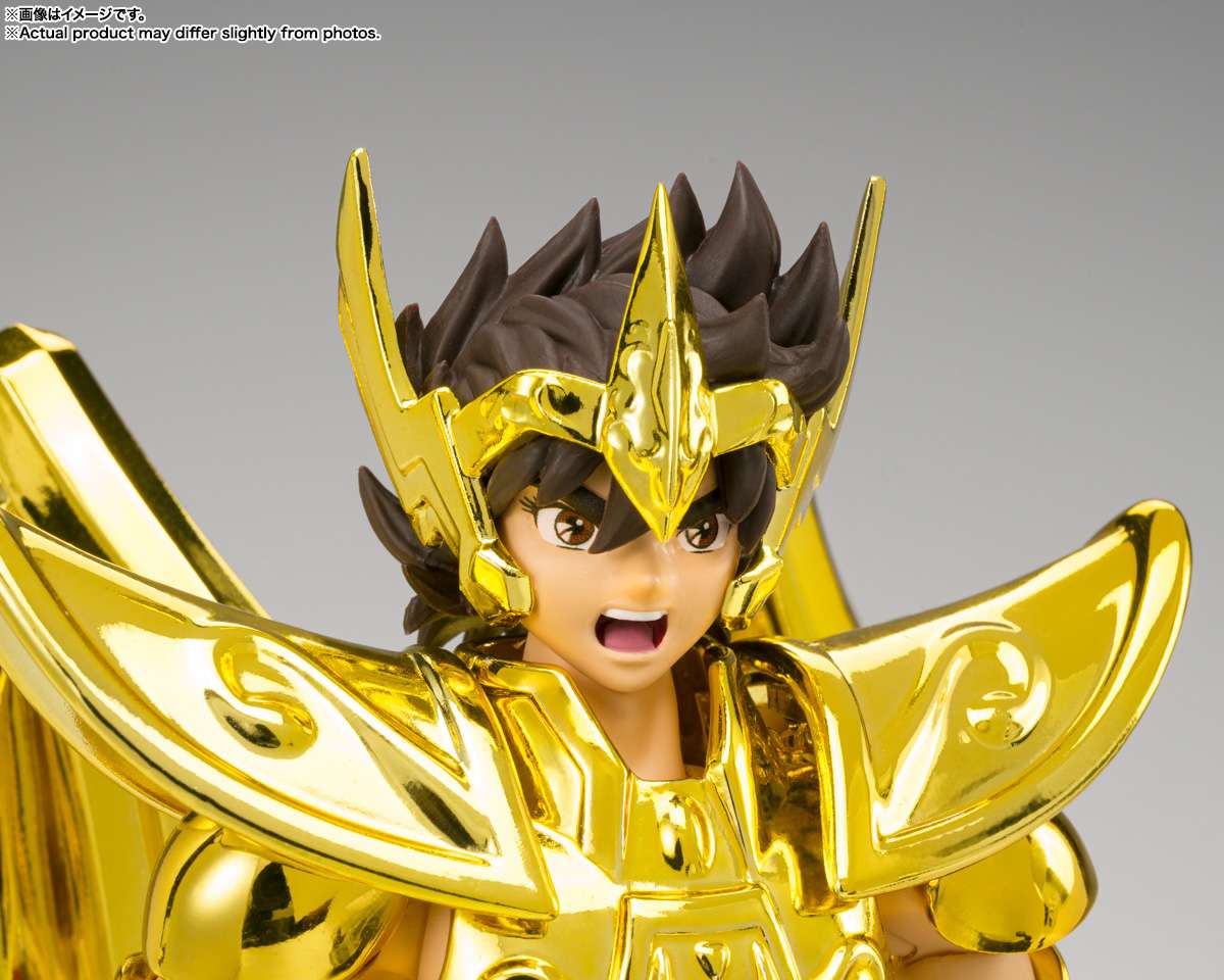 Saint cloth myth ex sagittarius inheritor gold cloth